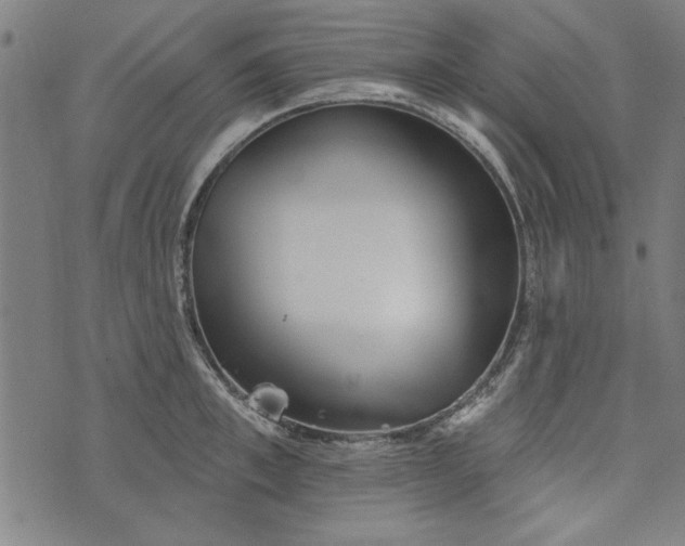 X0000073990997200609111528