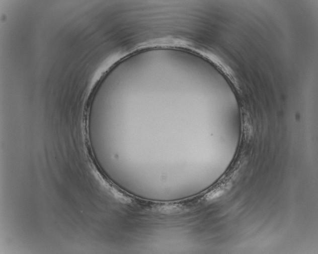 X0000073990998200609111528