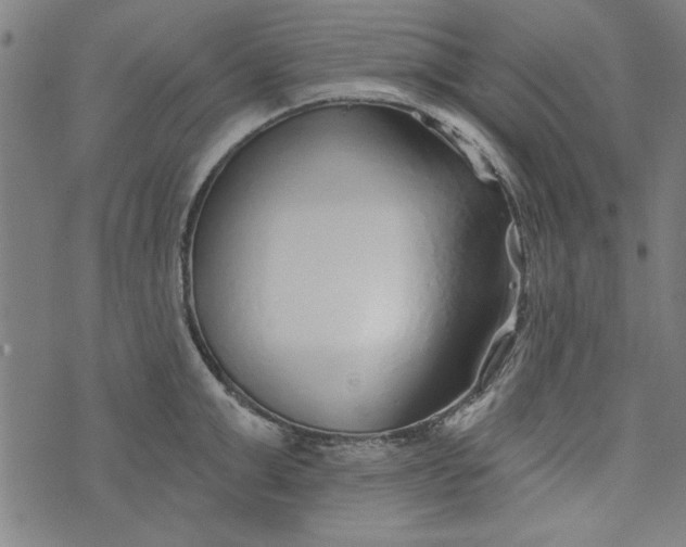 X0000073990999200609111528