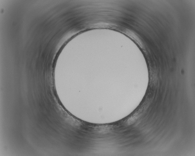 X0000073991000200609111528