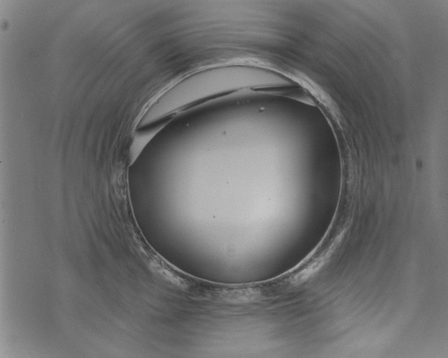 X0000073991001200609111528