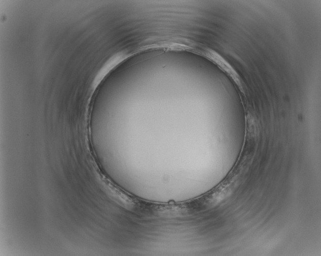 X0000073991002200609111528