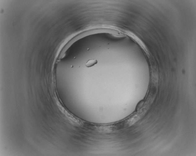 X0000073991004200609111528