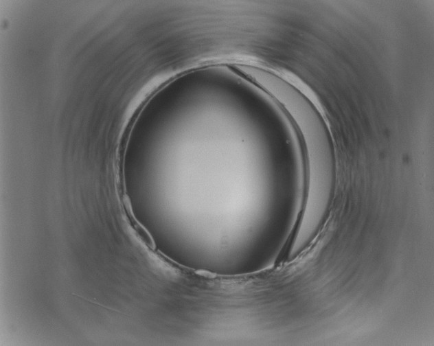 X0000073991005200609111528