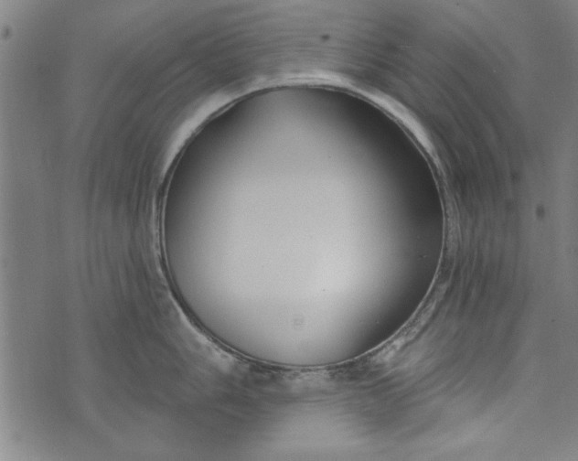 X0000073991006200609111528