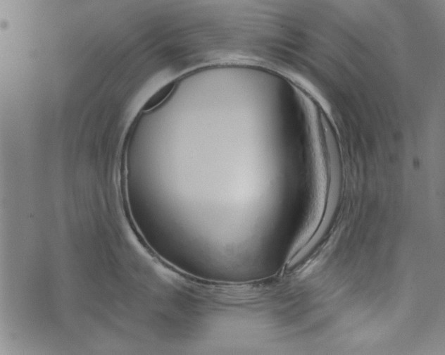 X0000073991007200609111528