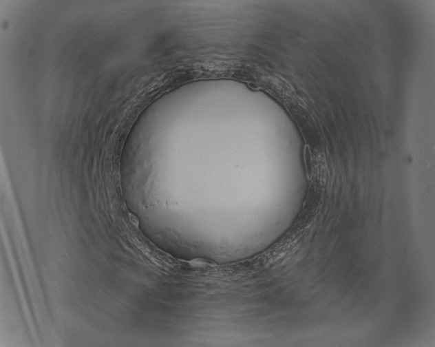 X0000073991009200609111527