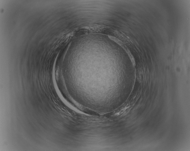 X0000073991010200609111527