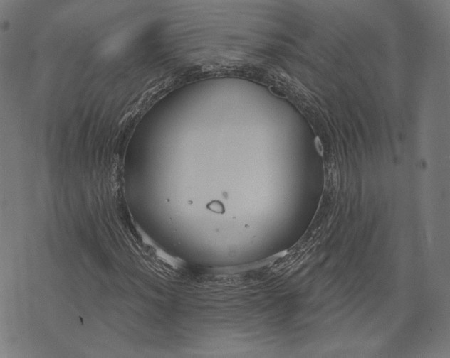 X0000073991012200609111528