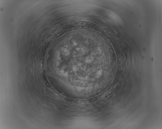 X0000073991013200609111528