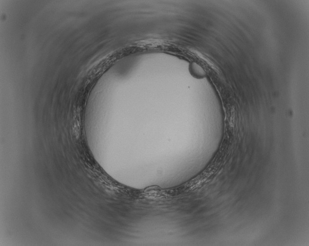 X0000073991015200609111528