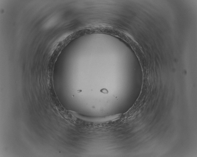 X0000073991016200609111528