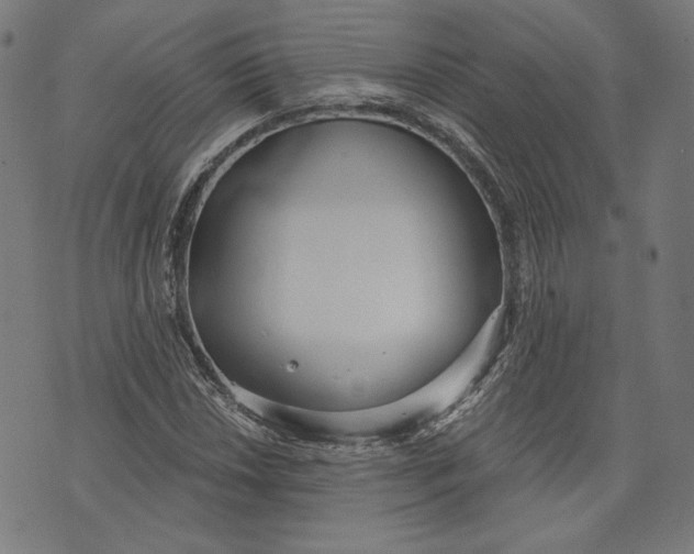 X0000073991018200609111528