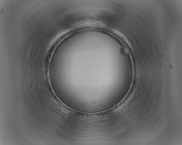 X0000073991019200609111528