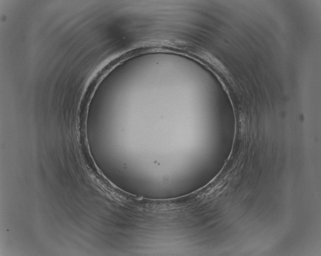 X0000073991020200609111528