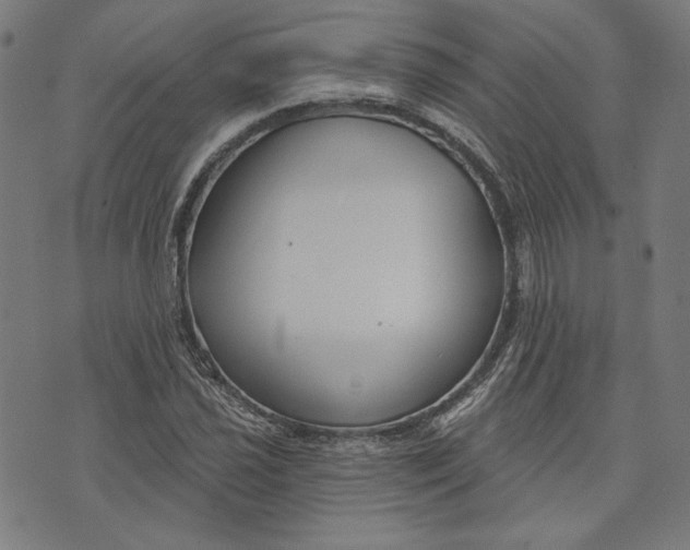 X0000073991021200609111528