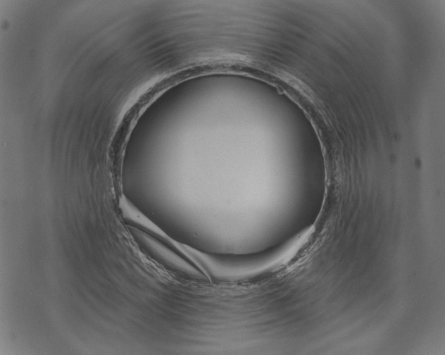 X0000073991022200609111528