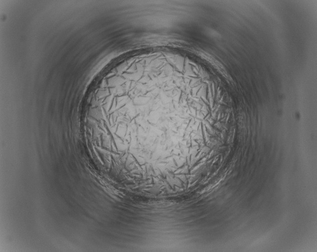 X0000073991023200609111528