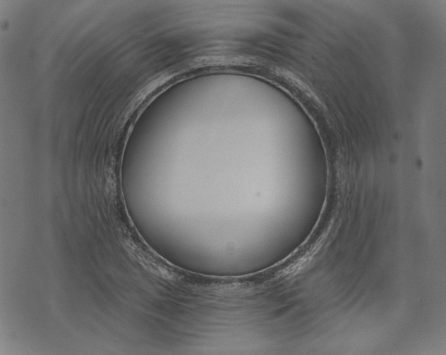 X0000073991025200609111528