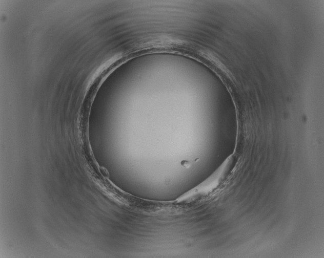 X0000073991026200609111528