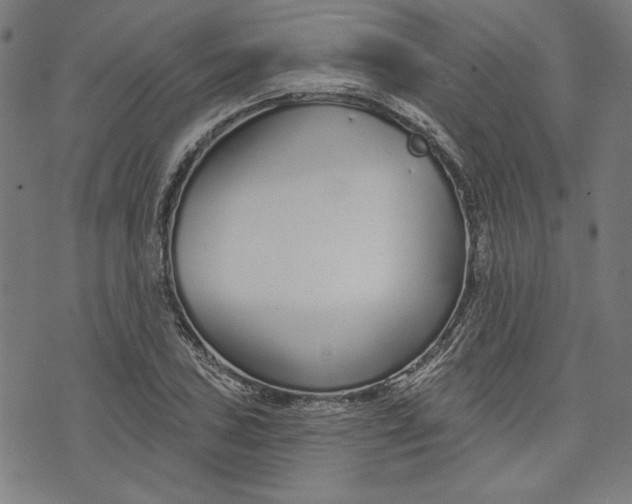 X0000073991027200609111528