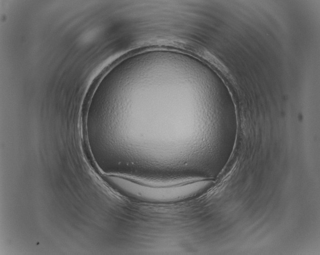 X0000073991028200609111528