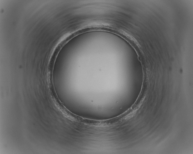 X0000073991029200609111528