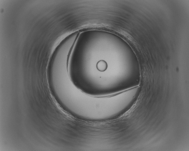 X0000073991030200609111528