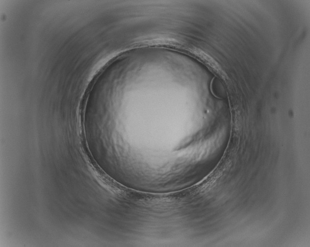 X0000073991031200609111528