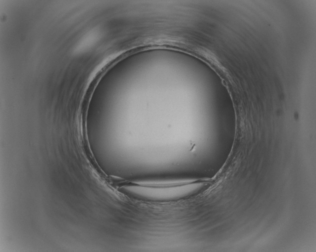 X0000073991032200609111528