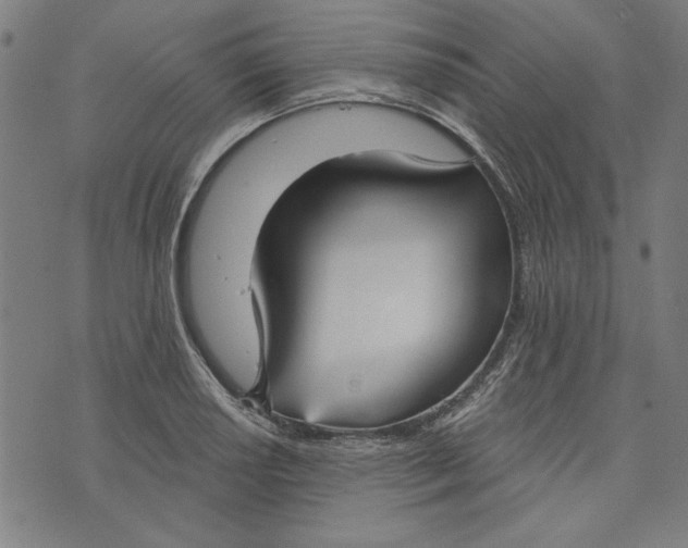 X0000073991034200609111528