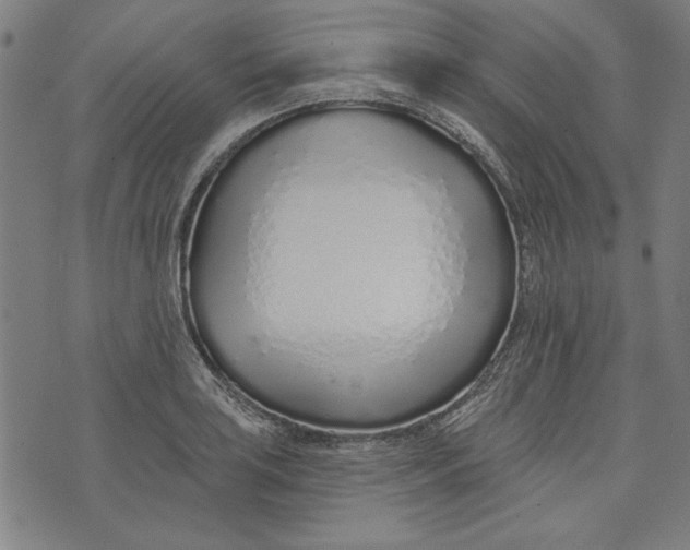 X0000073991035200609111528