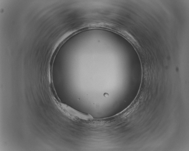 X0000073991036200609111528