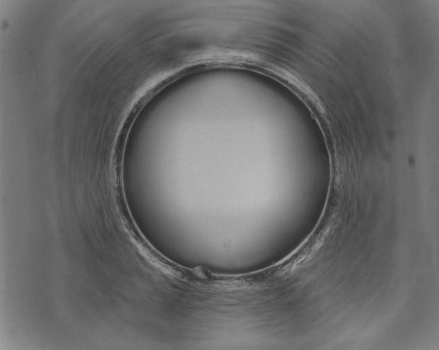 X0000073991037200609111528