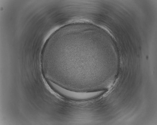 X0000073991038200609111528