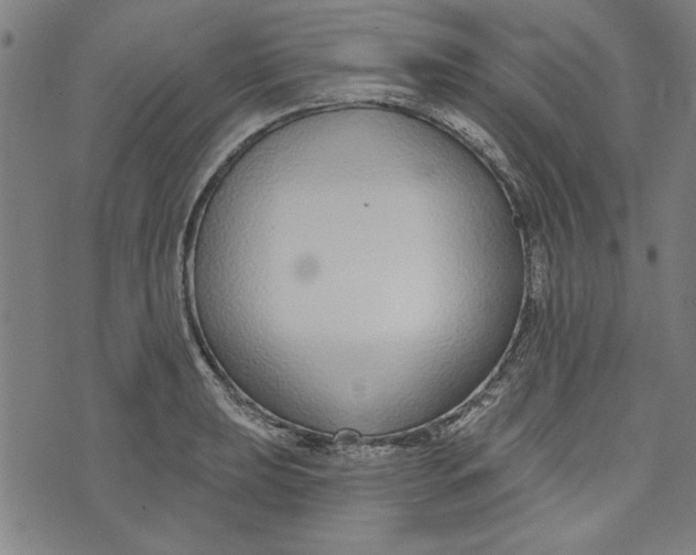 X0000073991039200609111528