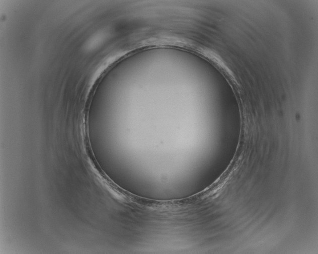 X0000073991040200609111528