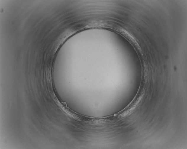 X0000073991041200609111528