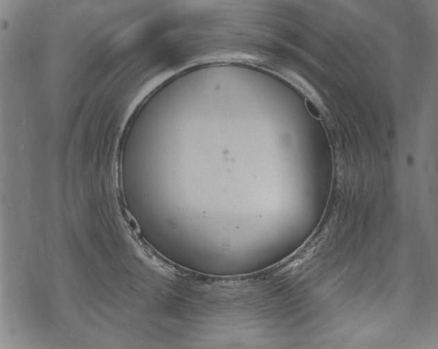 X0000073991044200609111528