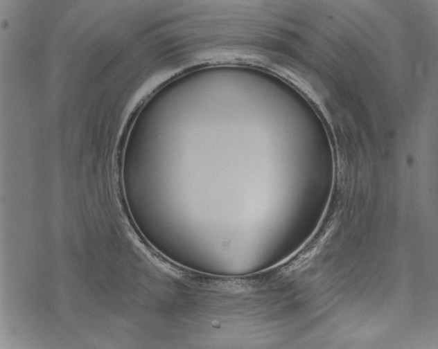 X0000073991045200609111528