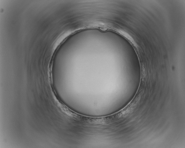 X0000073991047200609111528