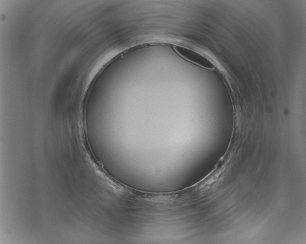 X0000073991048200609111528