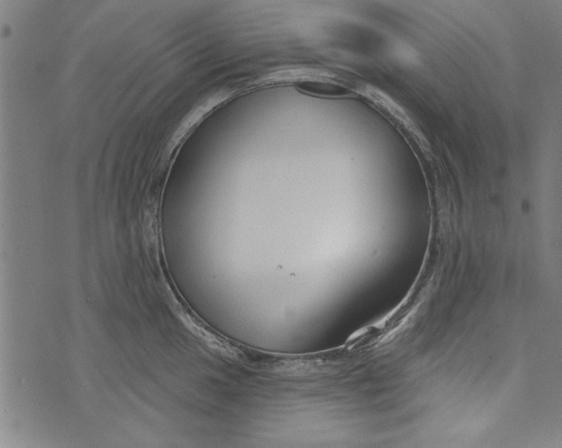 X0000073991049200609111528