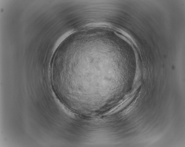 X0000073991050200609111528