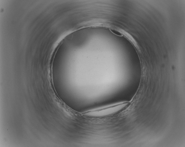 X0000073991051200609111528