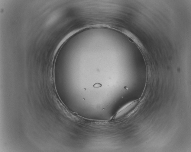 X0000073991052200609111528