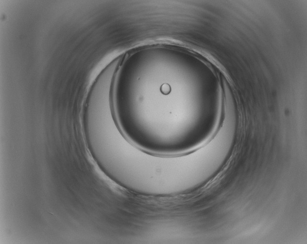 X0000073991054200609111528