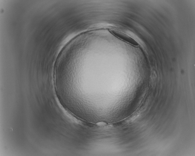 X0000073991055200609111528