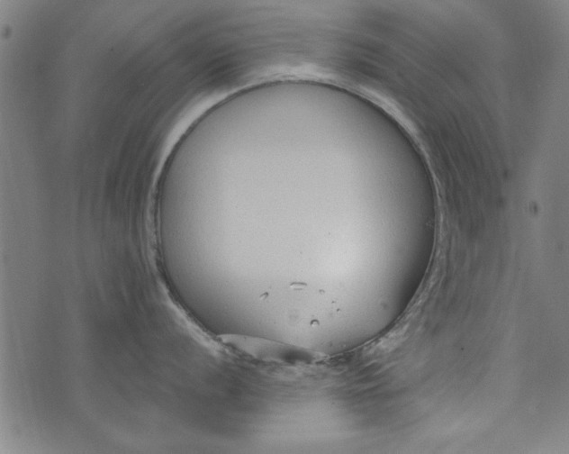 X0000073991056200609111528