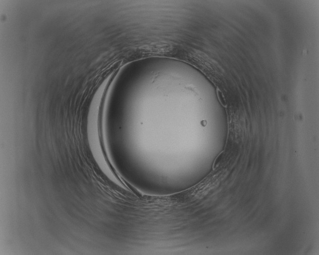 X0000073991058200609111527